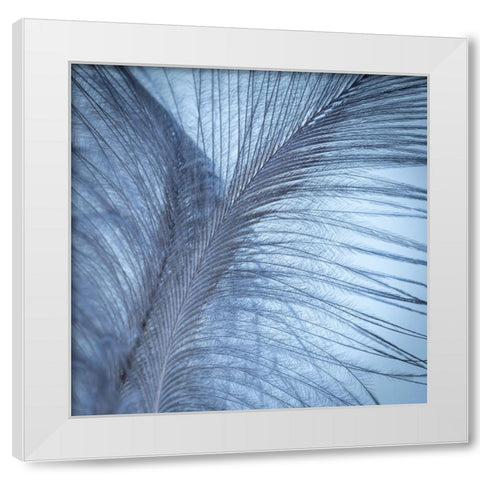 Downy Feather I White Modern Wood Framed Art Print by Mahan, Kathy
