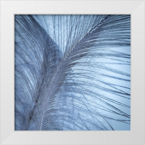 Downy Feather I White Modern Wood Framed Art Print by Mahan, Kathy