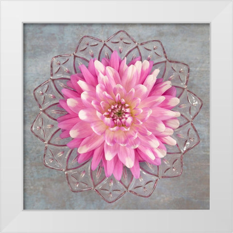 Pink Dahlia White Modern Wood Framed Art Print by Mahan, Kathy