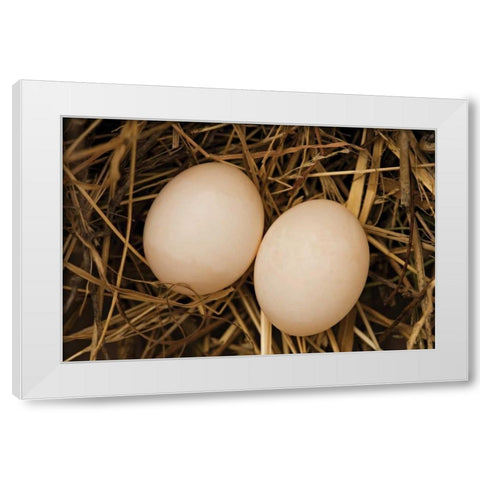 Eggs I White Modern Wood Framed Art Print by Millet, Karyn