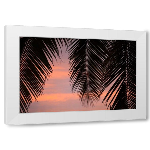 Palms at Sunset White Modern Wood Framed Art Print by Millet, Karyn