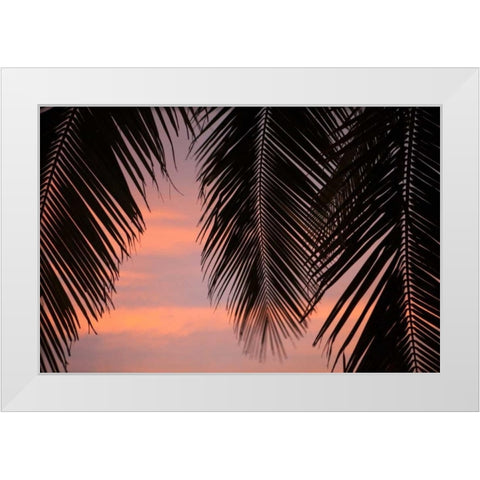 Palms at Sunset White Modern Wood Framed Art Print by Millet, Karyn