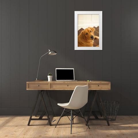 Goldie I White Modern Wood Framed Art Print by Millet, Karyn