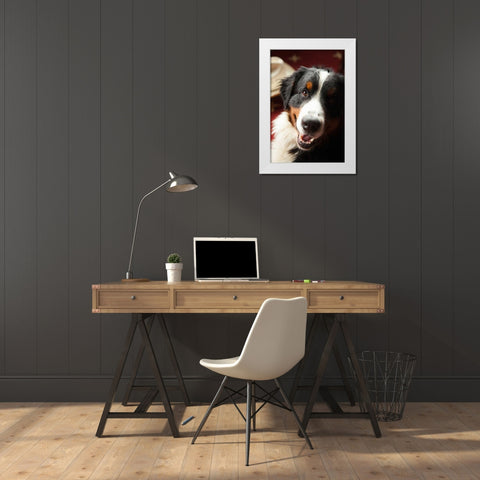Ranch Dog White Modern Wood Framed Art Print by Millet, Karyn