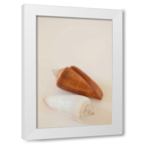 Shell by Shell I White Modern Wood Framed Art Print by Millet, Karyn