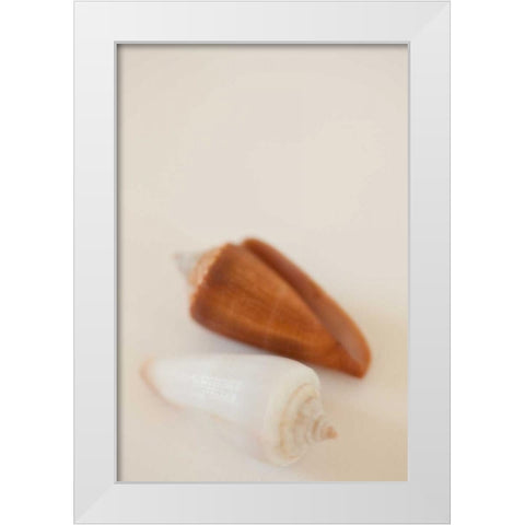 Shell by Shell I White Modern Wood Framed Art Print by Millet, Karyn