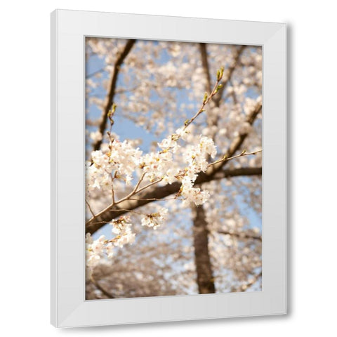 In Bloom I White Modern Wood Framed Art Print by Millet, Karyn