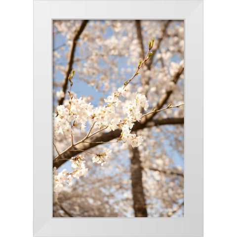 In Bloom I White Modern Wood Framed Art Print by Millet, Karyn