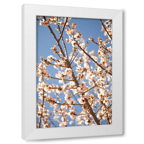 In Bloom VII White Modern Wood Framed Art Print by Millet, Karyn