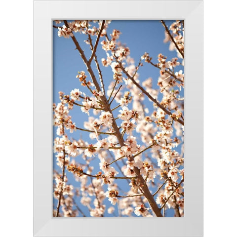 In Bloom VII White Modern Wood Framed Art Print by Millet, Karyn