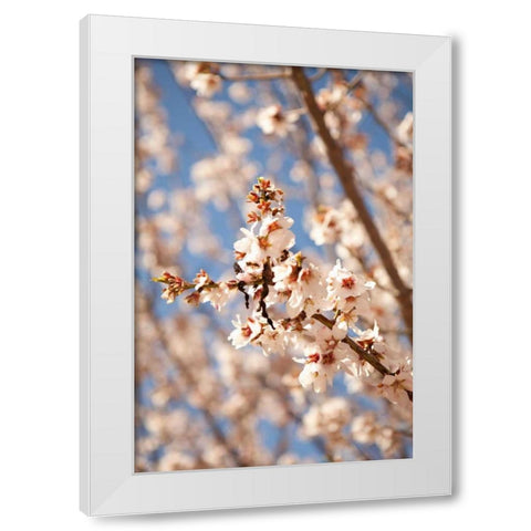 In Bloom VIII White Modern Wood Framed Art Print by Millet, Karyn