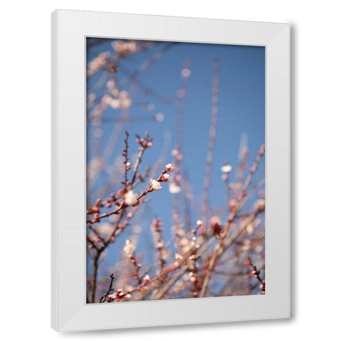 In Bloom IX White Modern Wood Framed Art Print by Millet, Karyn