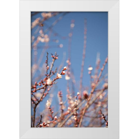 In Bloom IX White Modern Wood Framed Art Print by Millet, Karyn