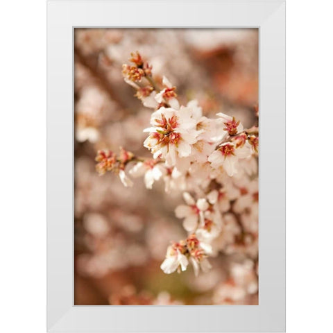 In Bloom XII White Modern Wood Framed Art Print by Millet, Karyn