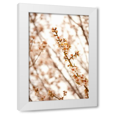 In Bloom XIV White Modern Wood Framed Art Print by Millet, Karyn