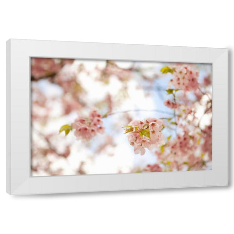 In Bloom XVI White Modern Wood Framed Art Print by Millet, Karyn