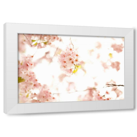 In Bloom XVII White Modern Wood Framed Art Print by Millet, Karyn