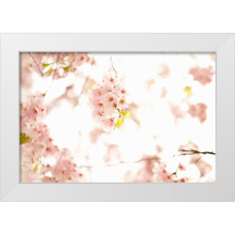In Bloom XVII White Modern Wood Framed Art Print by Millet, Karyn