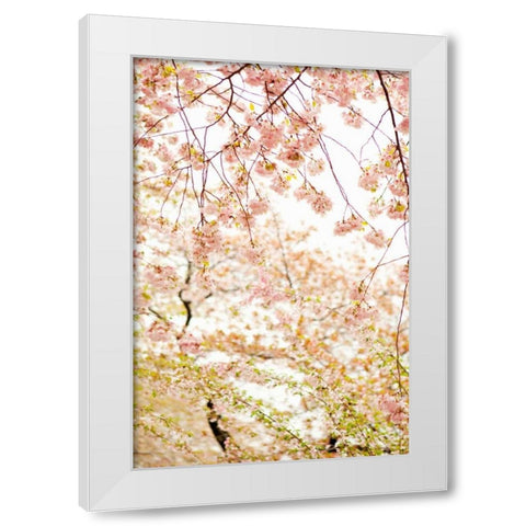 In Bloom XVIII White Modern Wood Framed Art Print by Millet, Karyn