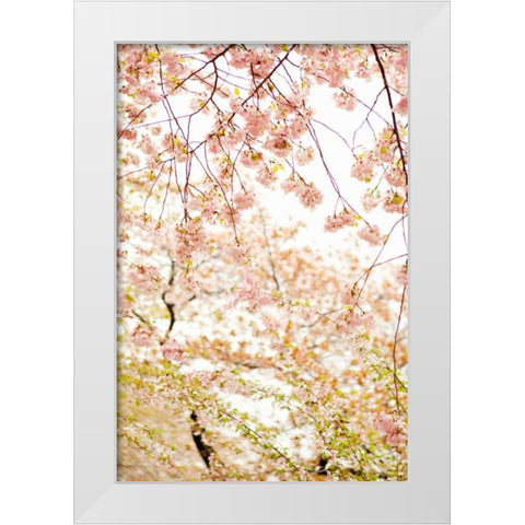 In Bloom XVIII White Modern Wood Framed Art Print by Millet, Karyn