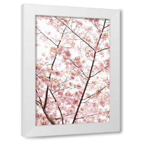 In Bloom XX White Modern Wood Framed Art Print by Millet, Karyn