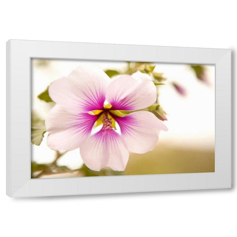 Macro Bloom I White Modern Wood Framed Art Print by Millet, Karyn