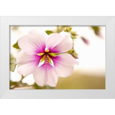 Macro Bloom I White Modern Wood Framed Art Print by Millet, Karyn