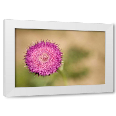 Macro Bloom II White Modern Wood Framed Art Print by Millet, Karyn
