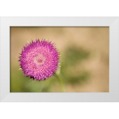 Macro Bloom II White Modern Wood Framed Art Print by Millet, Karyn