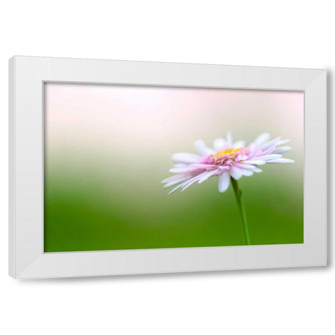 Macro Bloom III White Modern Wood Framed Art Print by Millet, Karyn