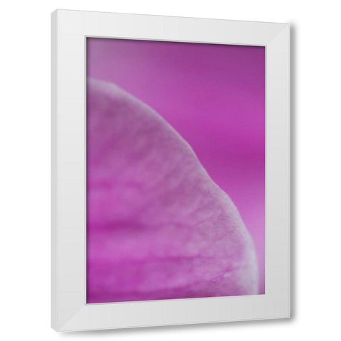 Purple I White Modern Wood Framed Art Print by Millet, Karyn