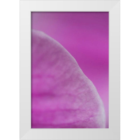 Purple I White Modern Wood Framed Art Print by Millet, Karyn