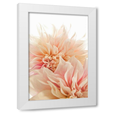Pink Dahlia II White Modern Wood Framed Art Print by Millet, Karyn