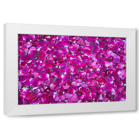 Pink Petals III White Modern Wood Framed Art Print by Millet, Karyn
