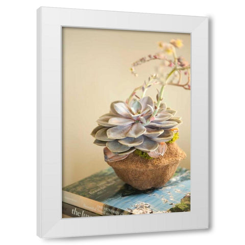 Small Succulent White Modern Wood Framed Art Print by Millet, Karyn