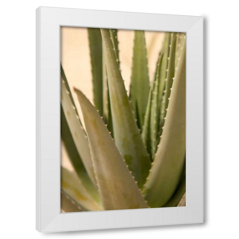 Aloe White Modern Wood Framed Art Print by Millet, Karyn