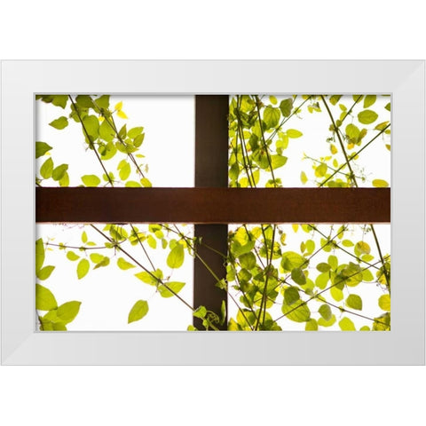 Branches and Lattice White Modern Wood Framed Art Print by Millet, Karyn