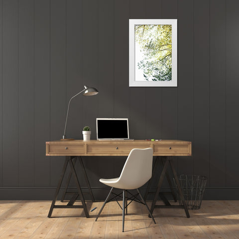 Trees II White Modern Wood Framed Art Print by Millet, Karyn
