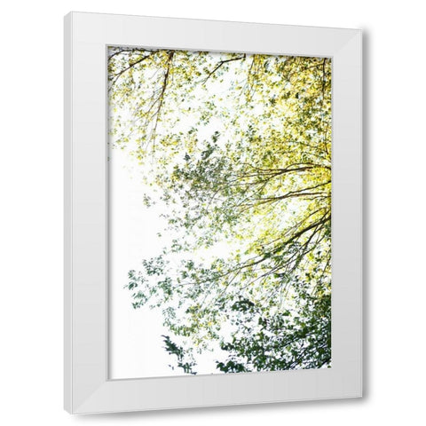 Trees II White Modern Wood Framed Art Print by Millet, Karyn
