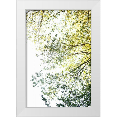 Trees II White Modern Wood Framed Art Print by Millet, Karyn