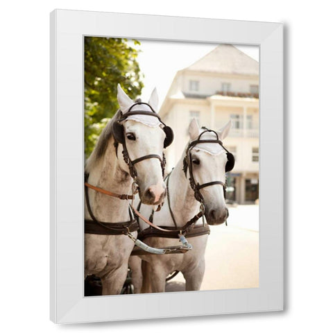 Bridled Horses White Modern Wood Framed Art Print by Millet, Karyn
