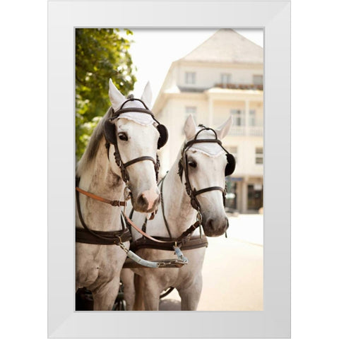Bridled Horses White Modern Wood Framed Art Print by Millet, Karyn