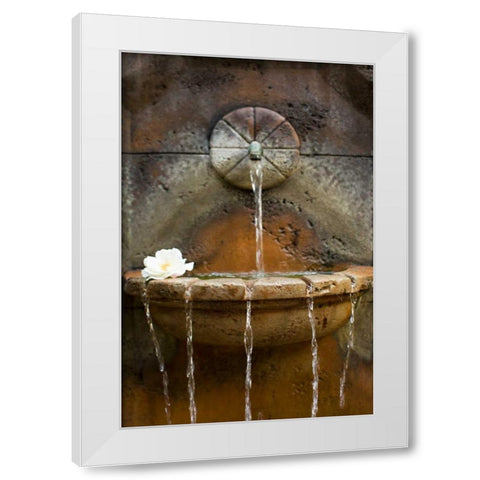 Fountain I White Modern Wood Framed Art Print by Millet, Karyn