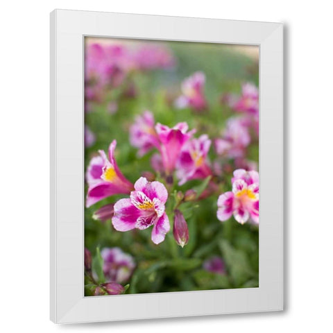 Purple and White I White Modern Wood Framed Art Print by Millet, Karyn