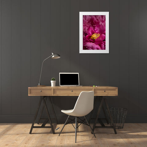Fuchsia Peonies I White Modern Wood Framed Art Print by Millet, Karyn