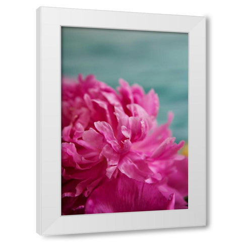 Fuchsia Peonies III White Modern Wood Framed Art Print by Millet, Karyn