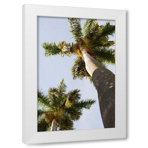 Below the Palms II White Modern Wood Framed Art Print by Millet, Karyn