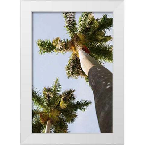 Below the Palms II White Modern Wood Framed Art Print by Millet, Karyn