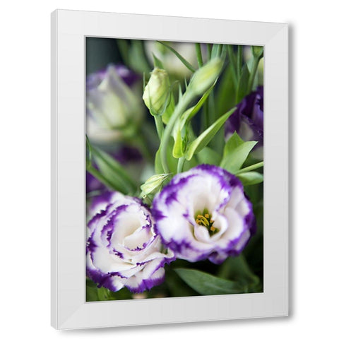 Purple Tipped Floral I White Modern Wood Framed Art Print by Millet, Karyn