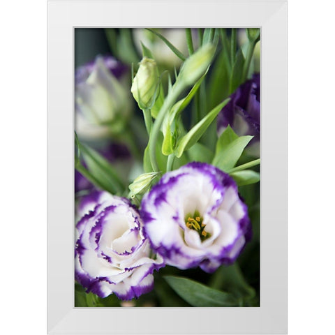 Purple Tipped Floral I White Modern Wood Framed Art Print by Millet, Karyn